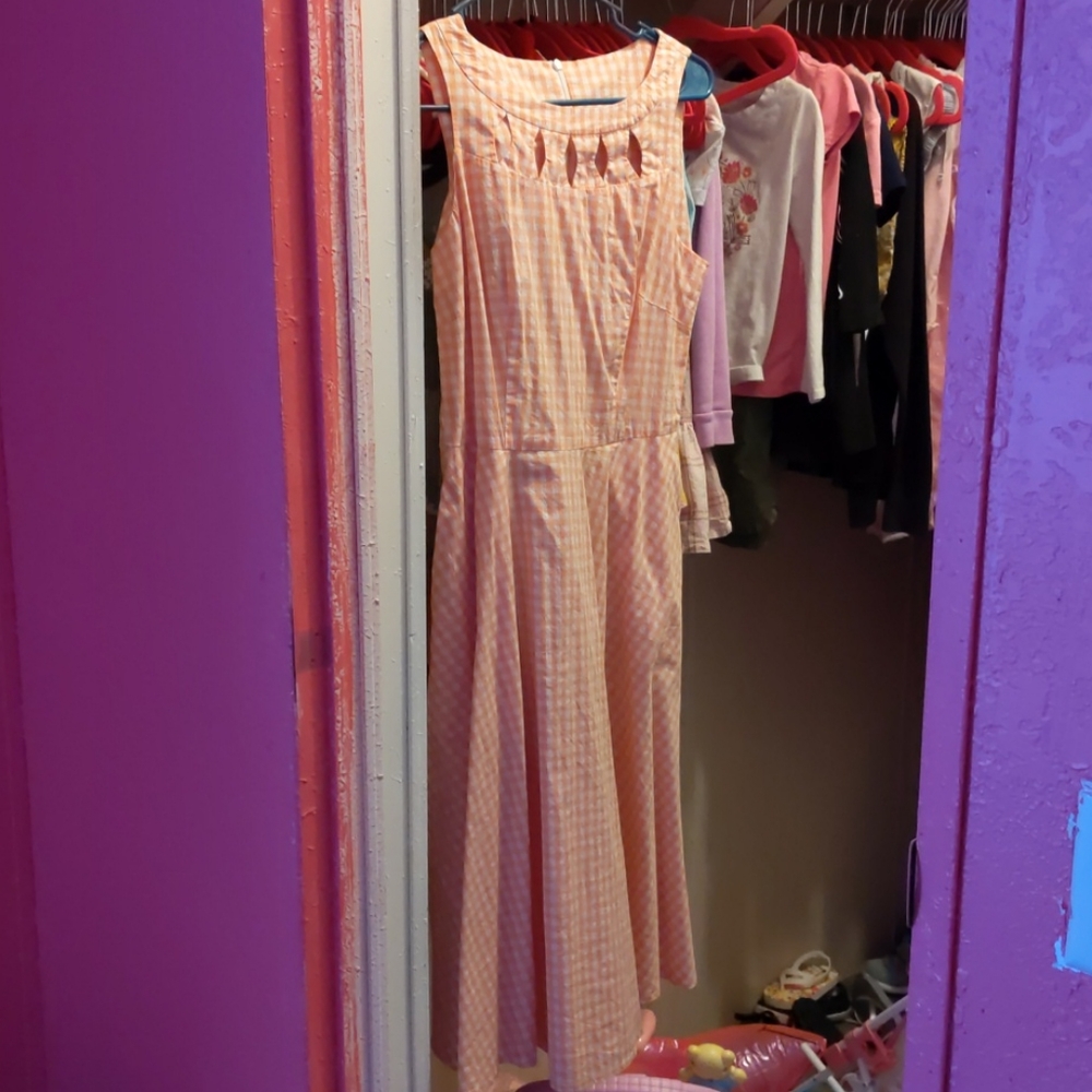 Pinup picnic style dress